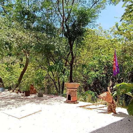 Laurel Jungle & Ocean Playa Santa Teresa (Puntarenas) Exterior foto